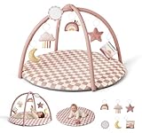 Blissful Diary Baby Play Gym Mat, Play Mat Activity Mat with 6 Detachable Toys for Stage-Based Sensory & Motor Skill Development, Easy to Install & Clean, Baby Essentials Gift, Blush Checkered