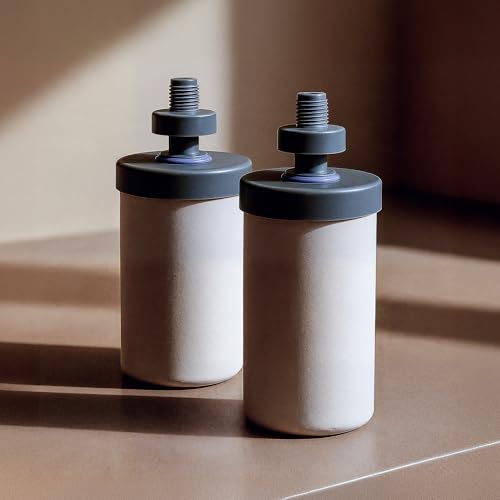 Listado de Filtros - 5 favoritos. 42 UMA Filtros Repuesto Purificadores de Agua - Filtración Avanzada para Agua Potable - 2 Filtros y 2 Flotadores