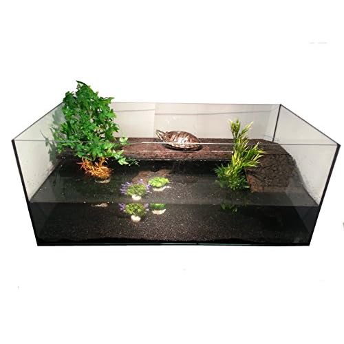 Deluxe Eau Tortue bac + partie avec liège