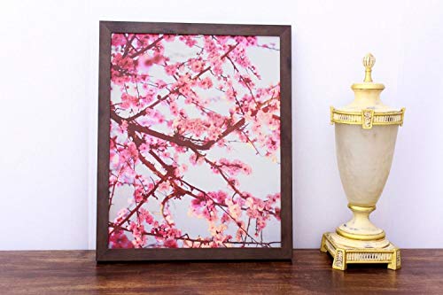 Quadro com Moldura Rústica Flores de Cerejeira Decore Pronto Multicor 44x54cm