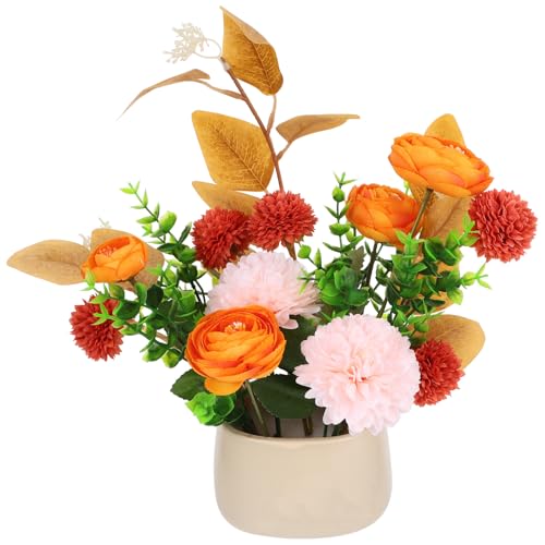 VANZACK ?^A ԂƂ̑ CeAAlHϗtA  ItBX XgpVvPA̐Z~bNfXNgbv~