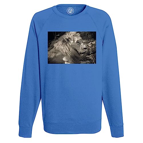 Sweatshirt Homme Sépia Lion Couché Nature Roi des Animaux pull