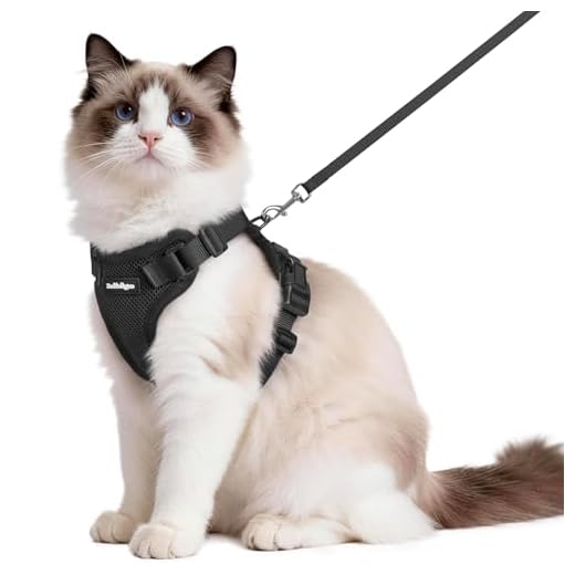 rabbitgoo Cat Harness and Leash Set, Escape Proof Vest, Black