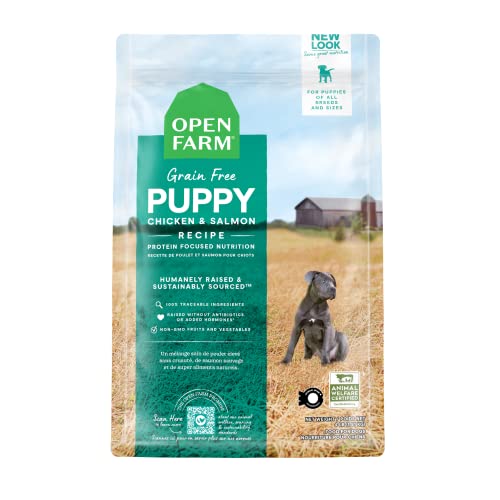 Top 10 Puppy Food Without Fillers of 2022 Katynel