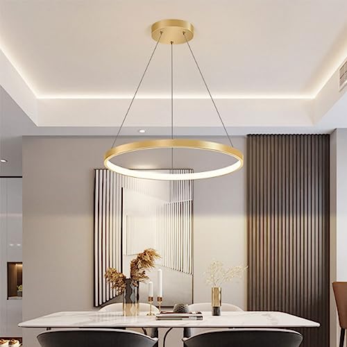 Suspension LED cercle d'or luminaire rond dimmable - 2