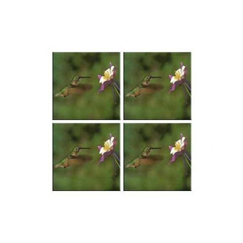 McGowan TT99820 Tuftop Hummingbird and Columbine Coasters Set of 4