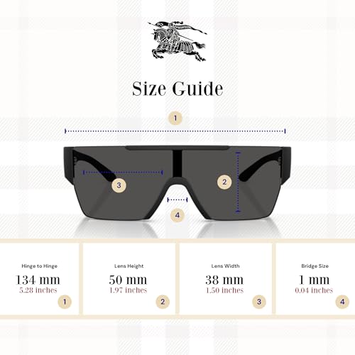 BURBERRY BE4291 Rectangle Sunglasses for Men + BUNDLE with Designer iWear Eyewear Kit4