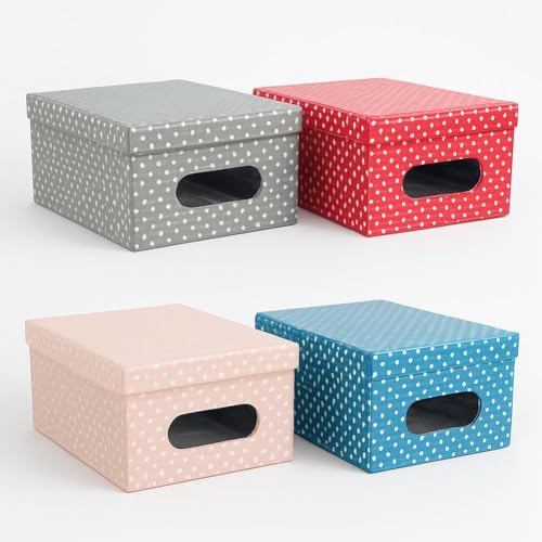 DANYX Set 4 Scatole Portaoggetti con Coperchio e Finestra – Contenitori Pieghevoli in Pvc Decorato, Salvaspazio per Armadio, Vestiti, Cameretta, Ripostiglio