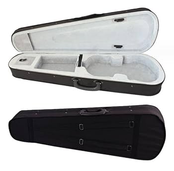 フルサイズ バイオリンとハードケース PLAYTECH ( プレイテック ) PVN544 バイオリン ハードケース