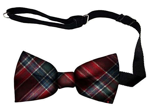 Noeud papillon homme en laine réglable MacBean, fixation facile sans stress
