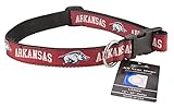 All Star Dogs Arkansas Razorbacks Ribbon Dog Collar - Small