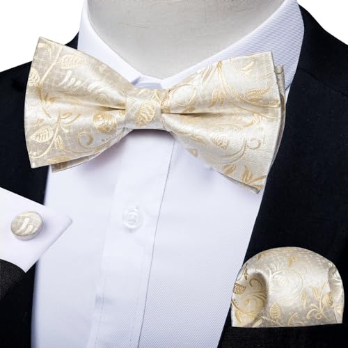 Set de corbata de moño y pañuelo de seda miniatura 2