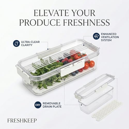 Image of Divided Fridge Storage Boxes With Serving Veggie Tray with Lid and Handle, Fridge Organizer with Removable Compartment, Fridge Storage Containers (Fridge Container)