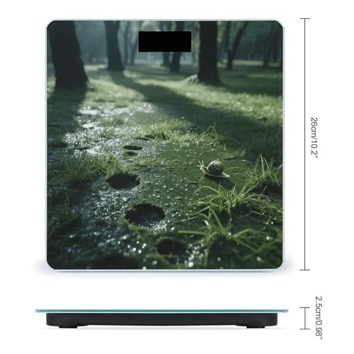 Báscula digital para baño Grassland Snail con vidrio templado miniatura 2