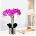 SDdPulse Künstliche Phalaenopsis-Orchidee in Vase, Blumenarrangement, Hochzeit, Party, Esstisch, exquisite Dekoration, Zuhause, Büro, Küche, Lila