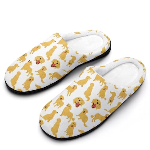 [STEBVI] Xbp   S[fEgo[  [V[Y  nEXXbp  Y fB[X  ~ g 􂦂 qp p jp v[g