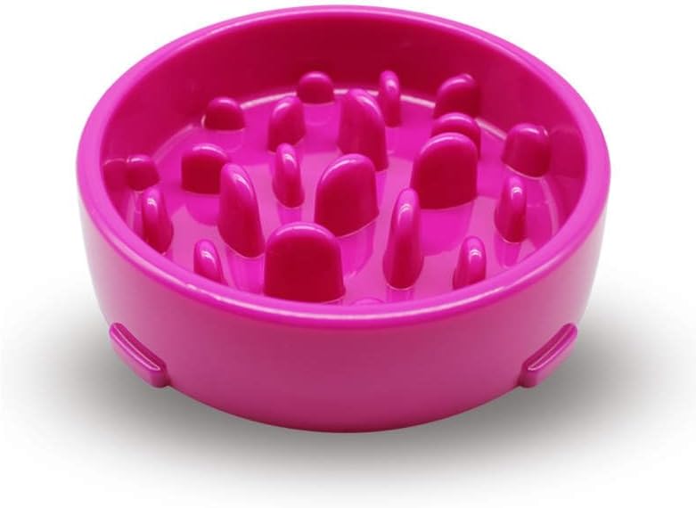 Slow Feeder Dog and Cat Bowl (Blue)
