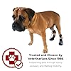 WALKABOUT™ Toe'sUP No Knuckling Boot Brace for Dogs Dragging Paws | Corrective Dog Shoes to Safely Lift Toes