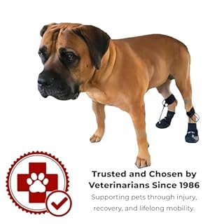 WALKABOUT™ Toe'sUP No Knuckling Boot Brace for Dogs Dragging Paws | Corrective Dog Shoes to Safely Lift Toes