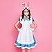White Rabbit Costume Set - Bunny Ears, Tail, Nose, Bow Tie, Gloves & Pocket Watch for Women & Men Halloween Cosplay