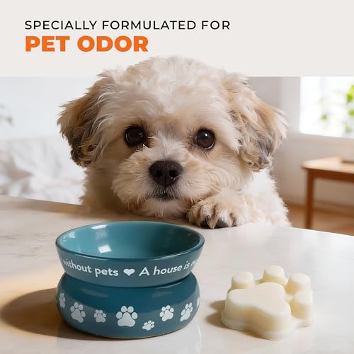 Image of One Fur All Pet House Scented Wax Melts for Warmer - Long-Lasting Pet Friendly Plant Based Soy Wax Melts - Falling Leaves Pack of 2