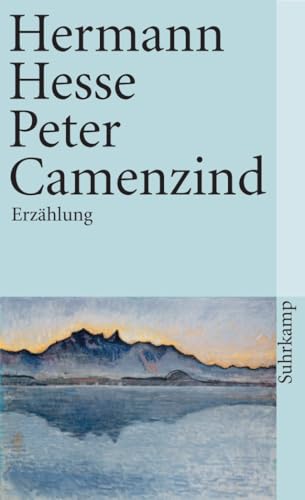 Peter Camenzind [German] 3518366610 Book Cover