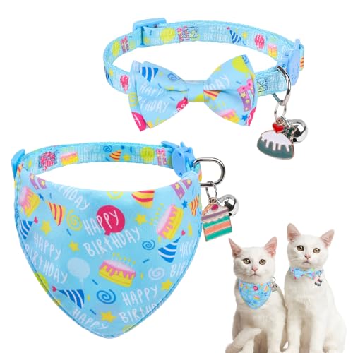 SCENEREAL Lo_iJ[ ap - x{E^CtqL̎2pbNAybg̎֗pANZT[ALƏ^Aj̎qA̎qp̒߉\Ȃ킢L̎(u[)