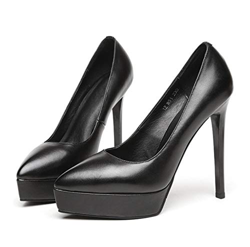 pvX ςՂ Xg[ ɂȂ ɂ d 24.0cm fB[X   nCq[ rWlXV[Y ItBX sq[ 10cmq[ ʋ N[g AE |CebhgD  pvX ubN pvX