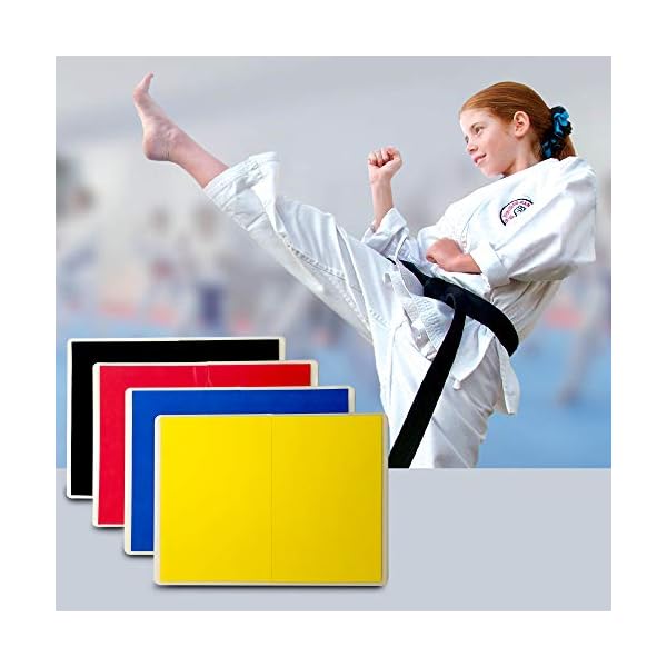 Rebreakable-Punching-Boards-Taekwondo-Karate-and-Martial-Arts-Board-Karate-Breaking-Board-for-Kids-and-Adults-Boxing-Equipment-and-Karate-Breaking-Board Rebreakable Punching Boards, Taekwondo Karate and Martial Arts Board for Kids and Adults, Boxing Equipment and Kickboxing (Yellow/Easy)