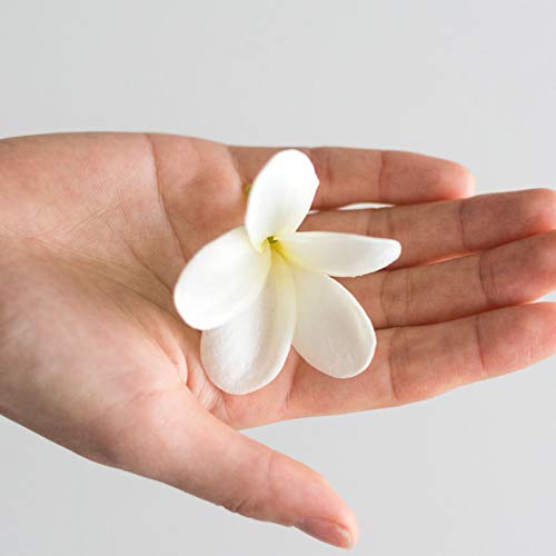 Amazon｜【アジア工房】プルメリアのリアル造花 [4色展開
