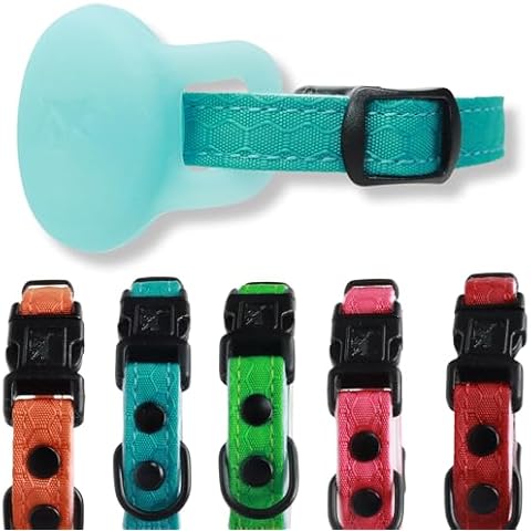 Quick Release Breakaway Cat Collar + AirTag Holder by OutdoorBengal - with Soft Padding, Tactical Fabric Exterior, Natural and Neon Color Options, Compatible with Moto Tag (Caribbean Blue) Cover
