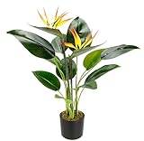 Flair Flower