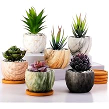 Ziliny Marbling Ceramic Flower Pot 3.35 Inch Succulent Small Plant Cactus Herbs Planter Ceramic Pot with Drainage Hole Matte Round Container6 Pcs,Elegance Style