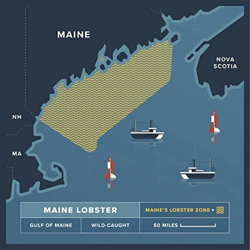 Maine Lobster Now - Maine Lobster Tails 8oz - 10oz (2 Tails)