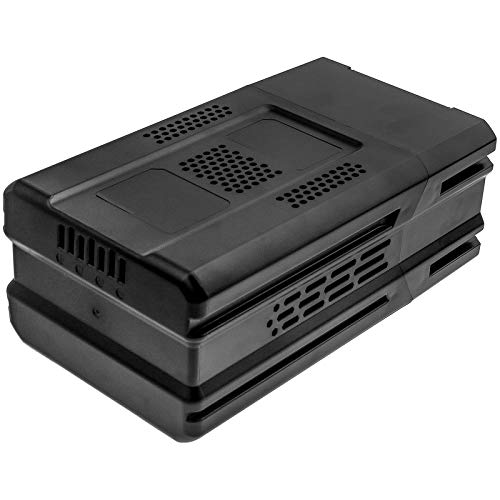 Ejjinenbby 4000mAh 80V Replacement Battery