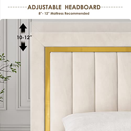Hithos King Size Bed Frame With Adjustable Tufted Headboard, Velvet Upholstered Platform Bed Frame With Gold Trim, Heavy Duty Mattress Foundation With Steel Frame, Easy-Assembly Slats (Beige, King) #TOP4