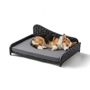 Relaxdays Hundebett Rattan, L, HBT: 25x63x46 cm, erhöhtes Hundeliege mit Kissen, Hundesofa, Outdoor & Indoor, grau