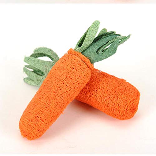 Balacoo giocattolo da masticare giocattolo molare