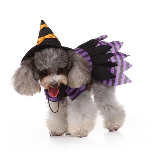 Disfraz para perro Bruja Halloween Talla L miniatura 4