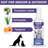 Aomig Katzenabwehrspray Anti Katzen Spray Knabberstopp Innen AuBen Katzenabwehr für Sofa Tür Möbel Natürliches Katzen Fernhaltespray Sofort Wirksames katzenspray Antikratzspray Katz Abwehrspray(200ml)