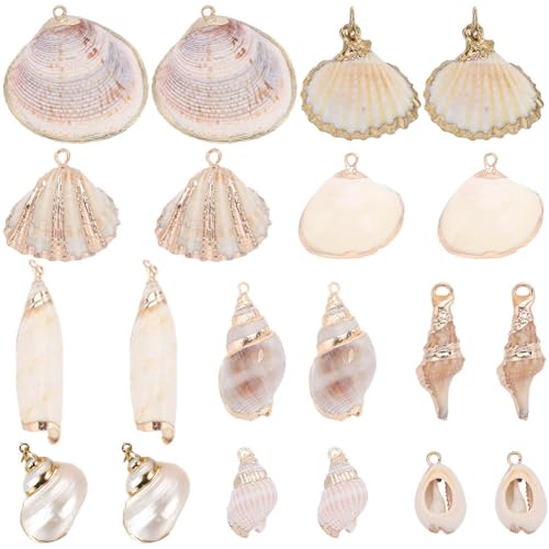 SUNNYCLUE 20Pcs 10 Styles Seashell Charms