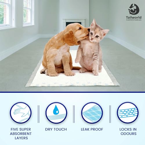 Image of Training Pads, with Odor Lock Technology & Super Absorbent Pee Pads, Leak-Proof Dog Potty Training Pads for Puppies, Dogs,Cats & Rabbits (60 X 60 cm) Pack of 2(100 Pcs Each)