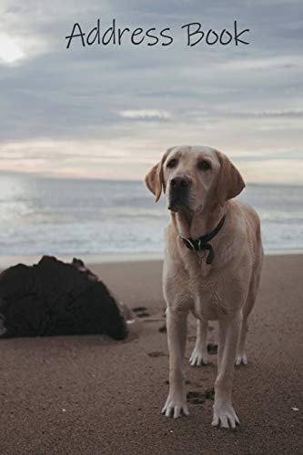 Address Book: Labrador Retriever dog address book for women, men & kids. Featuring large print, perfect for friends, family & work contacts, ... convenient 6x9 size, over 350 contact forms.