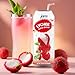 Lychee Juice Drink with Pulp, 16.9 oz (Bulk Pack of 12) by Jans — Fat-Free, Cholesterol-Free, Refreshing Taste of the Tropics