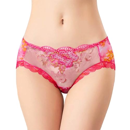 Bragas Transparentes de Encaje para Mujer con Corte Bajo Bikini Malla Cómoda y Elástica (XL) #2828