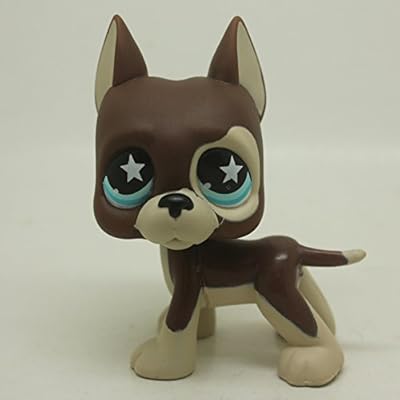 Brown Great Dane Dog Puppy STAR Blue Eyes Animal Ethiopia Ubuy