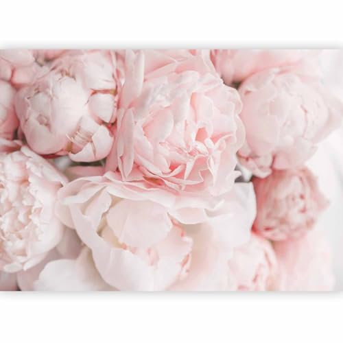 murando PREMIUM Papier peint Pivoines 350x256 cm Décoration Murale XXL Poster Tableaux Muraux Tapisserie Photo Trompe l'oeil Fleurs Bouquet de Fleurs rose...