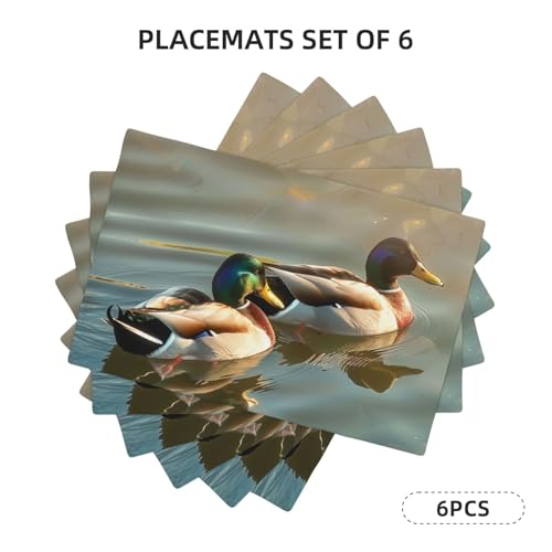 Sets de table antidérapants lot de 6 imprimés double couche thermorésistants