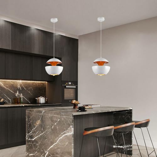Lámpara de techo empotrada industrial y luminaria decorativa E26 5