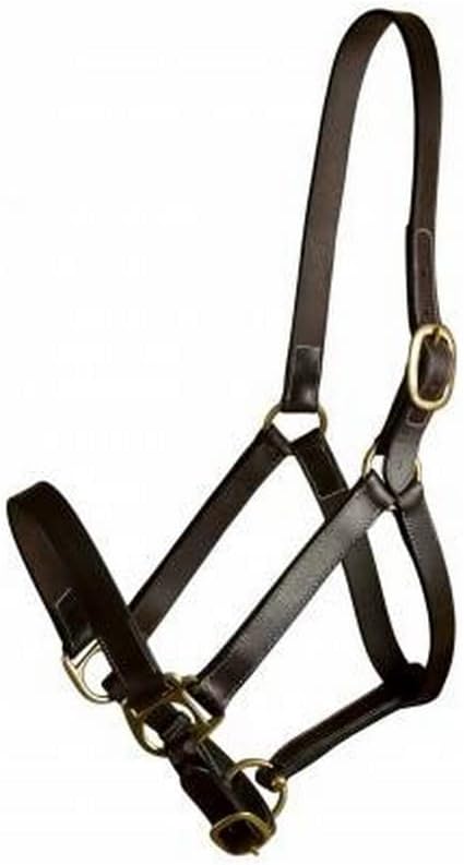 283541 Leather Halter Havanna Brown, Horse